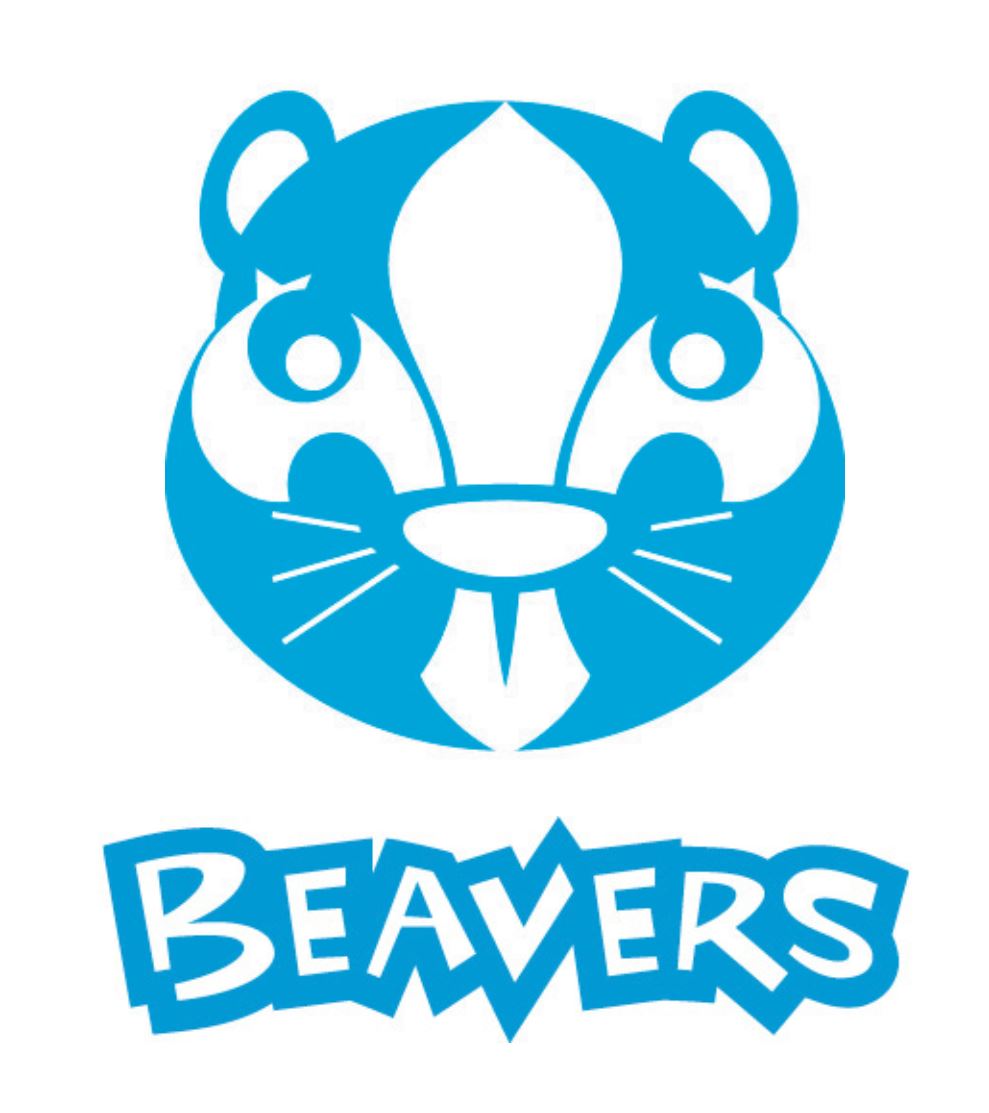 Beavers - 7th Epsom Scouts